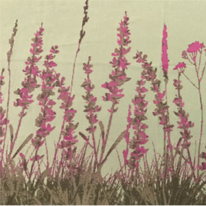 LAVANDA GRIGIA 02