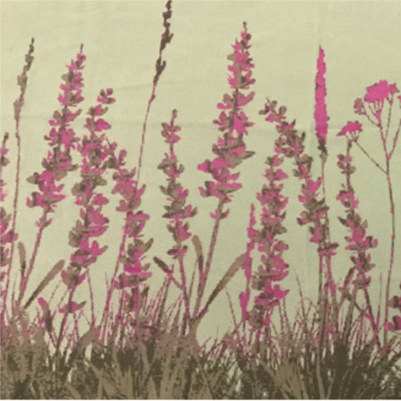 LAVANDA GRIGIA 02