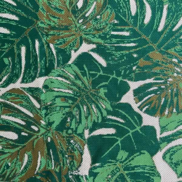 MONSTERA