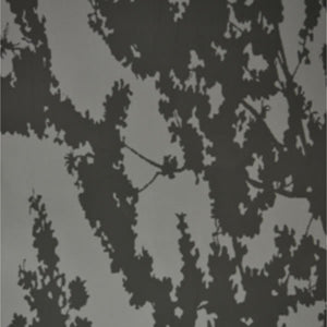 OMBRA D'ALBERO 01