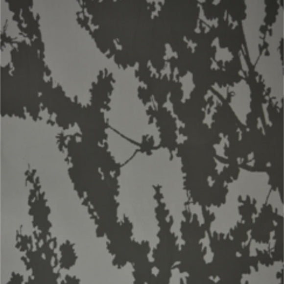 OMBRA D'ALBERO 01