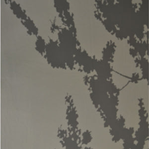 OMBRA D'ALBERO 02
