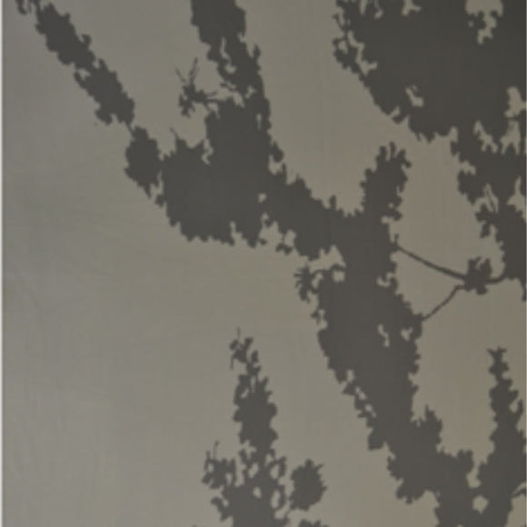OMBRA D'ALBERO 02